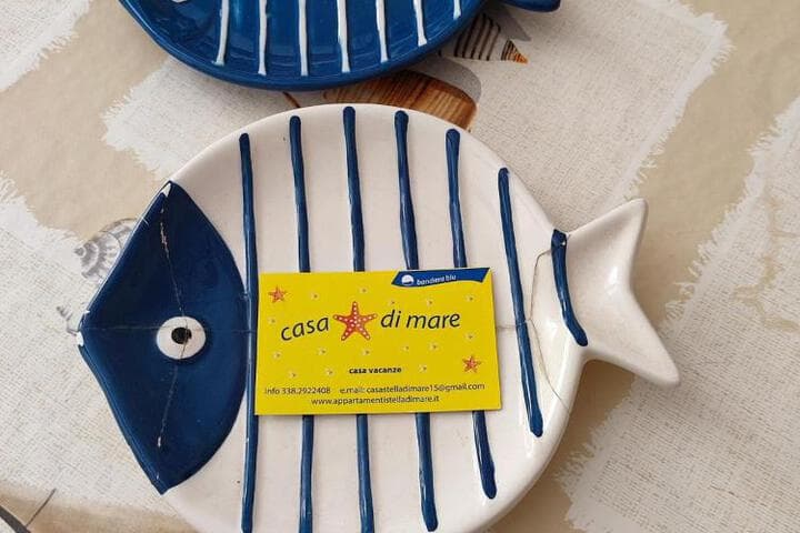 Stella di mare photo 5