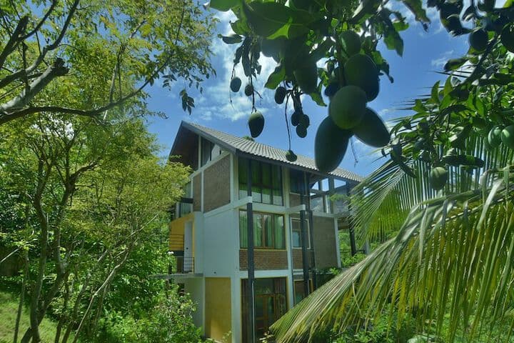 Victoria House photo 1