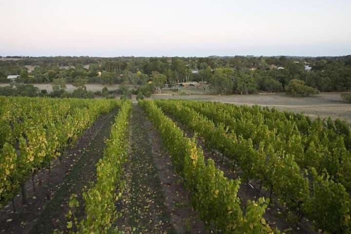 Barristers Block Vigneron Villa photo 5