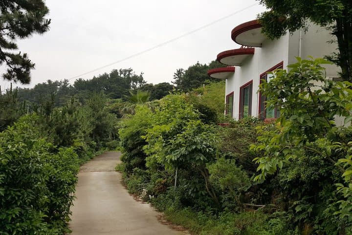 Dreaming Forest photo 2