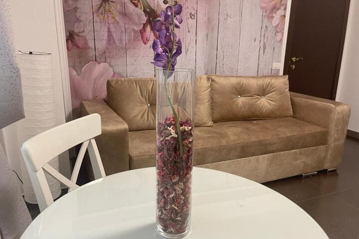 Apartament Mihaela photo 5