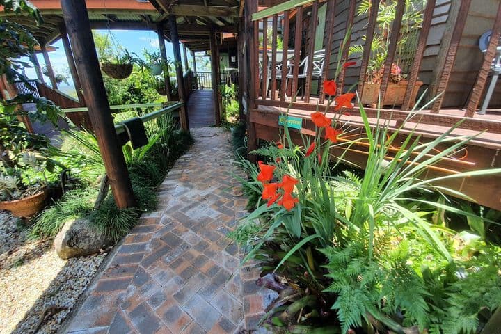 Tamborine Mountain B&B photo 5