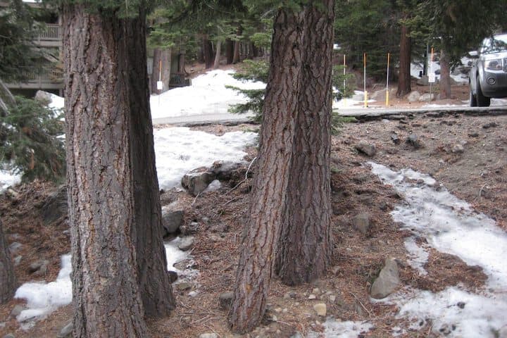 Hidden Valley by Mammoth Reservation Bureau photo 5