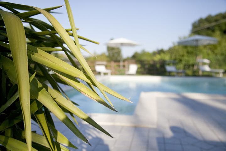 Country House Angelo Blù photo 4