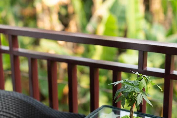 NuNi Hoi An Homestay photo 4