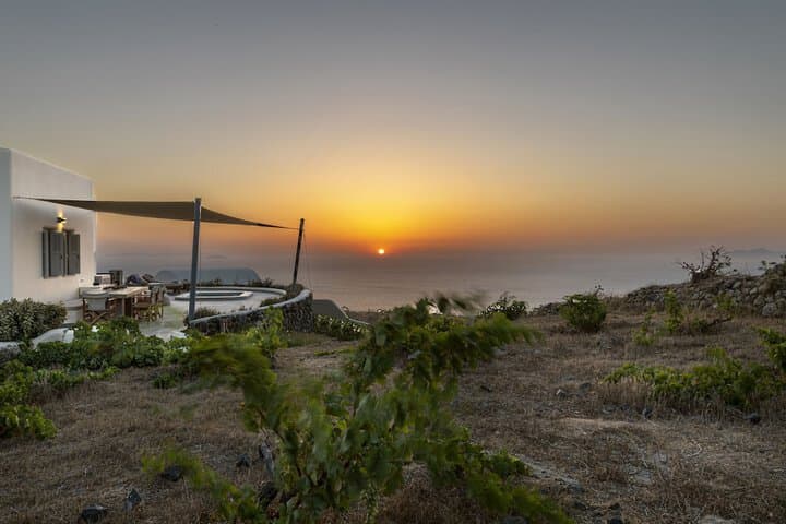 Villa Vinea photo 2