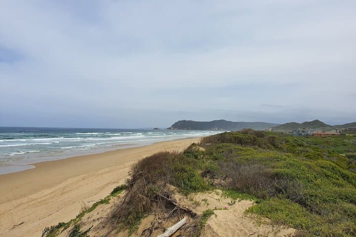 Sedgefield Beach destination view