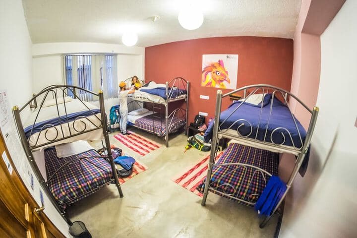 Minka Backpackers Hostel photo 4