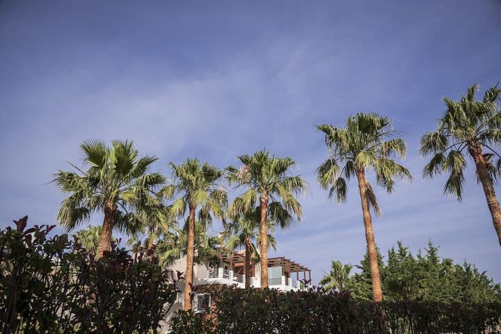 Athina Luxury Villas photo 3