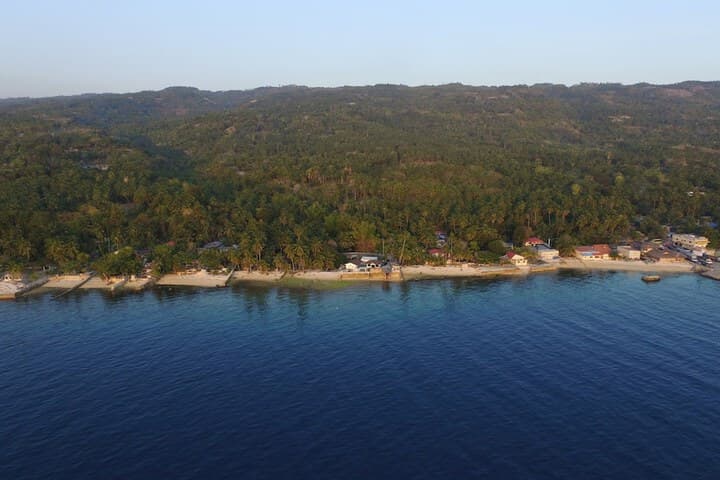 MDF Beach Resort&Day Tours photo 3
