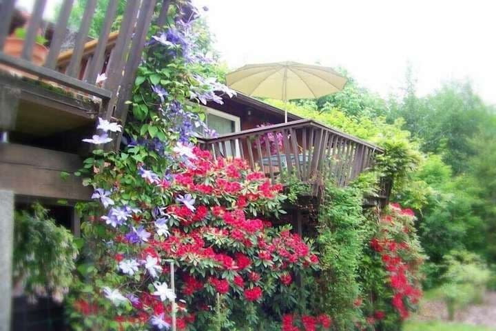 Misty Valley Inn B&B photo 5