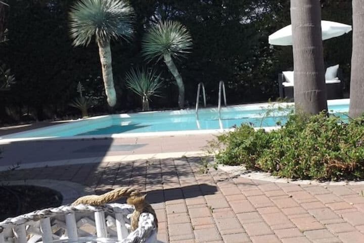 Villetta del Salento Exclusive B&B photo 4