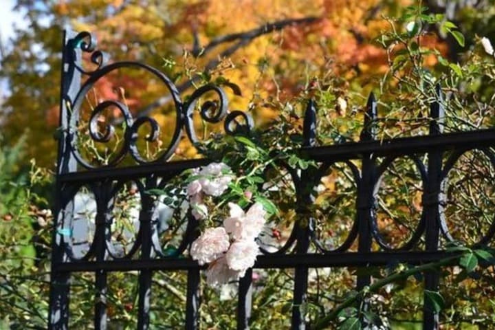 Union Gables Bed & Breakfast photo 3