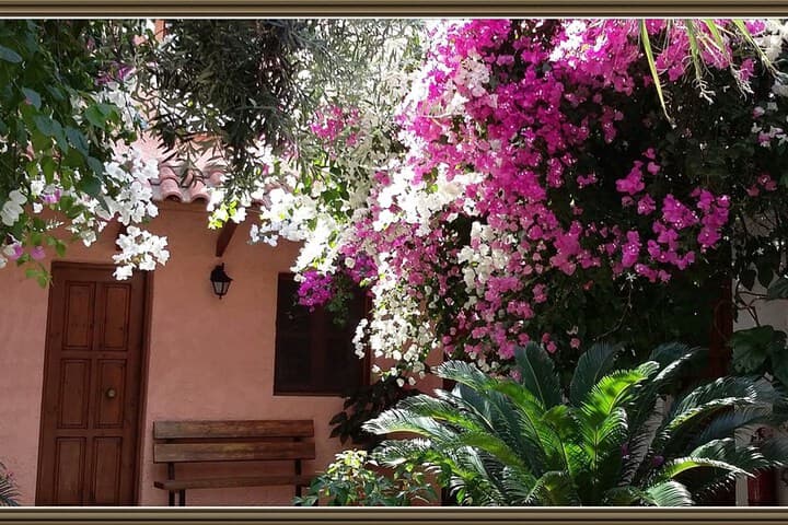 Olive Tree Cottages photo 3