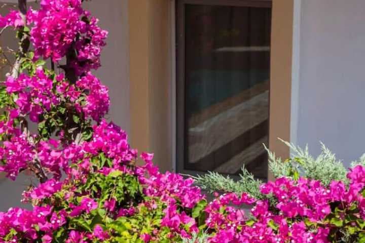 Golden Age Houses photo 4