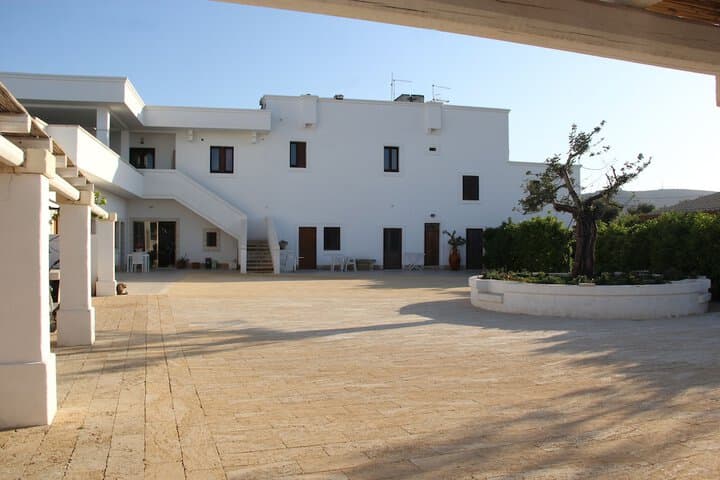 Fasano destination view