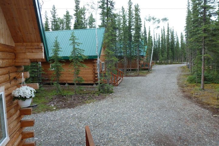Caribou Cabins photo 3