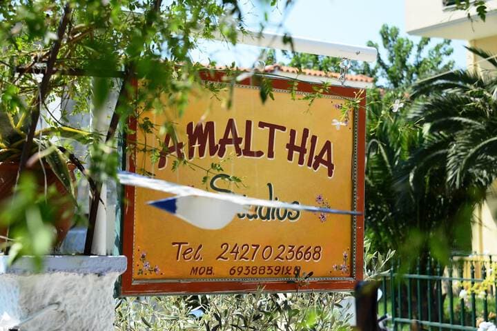 Amalthia Studios photo 4