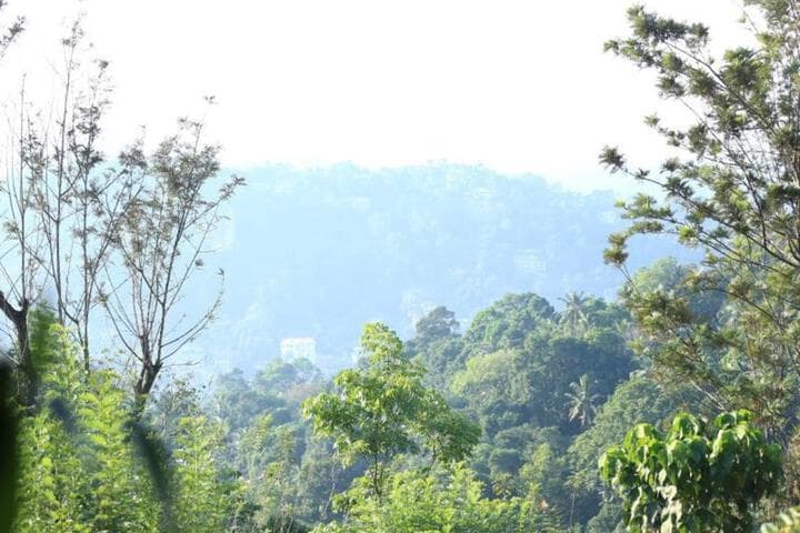 Travel scenery