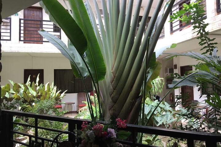 Balaibinda Lodge photo 2