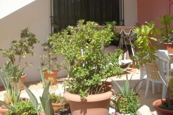Iliaktida Apartments photo 3