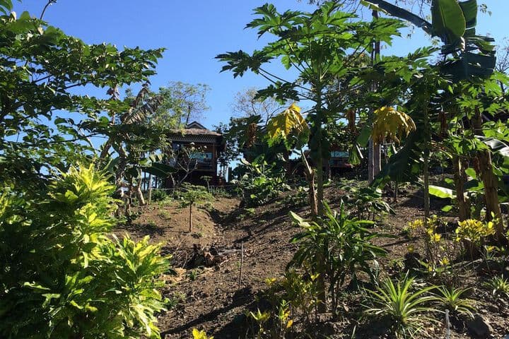 Hill Top Resort photo 5