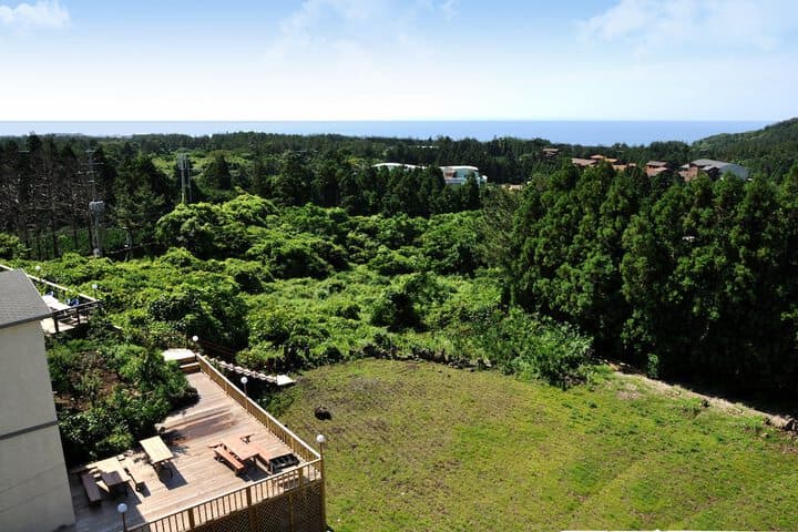Jungmun Family Resort photo 5