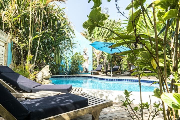 Pietermaai Tropical Vibes photo 4