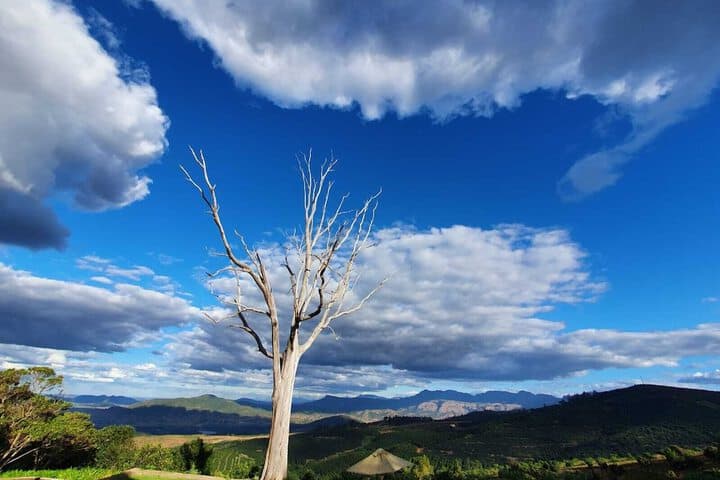 Travel scenery