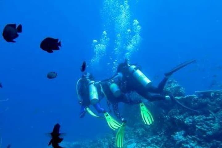 Plus View Maldives photo 2