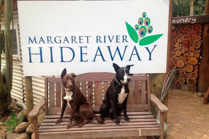 Margaret River Hideaway photo 4