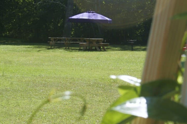 Seven Oaks Inn B&B photo 3