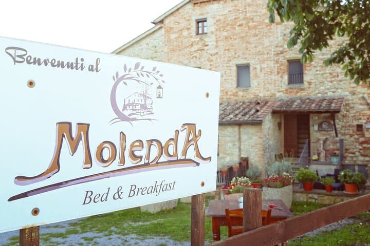 B&B Molenda photo 2