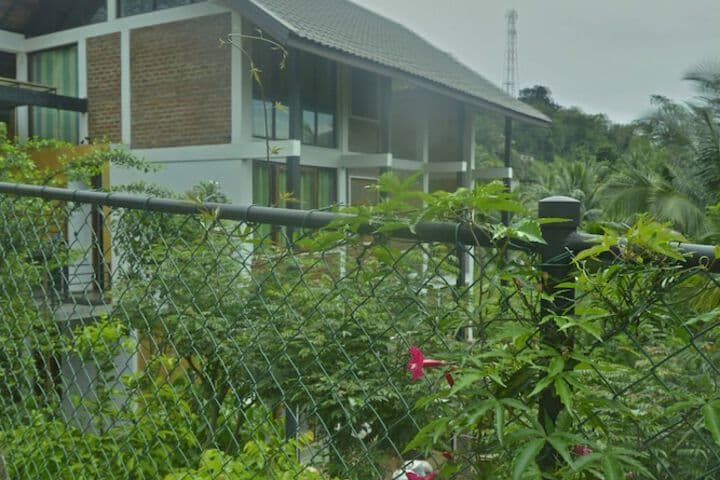 Victoria House photo 2