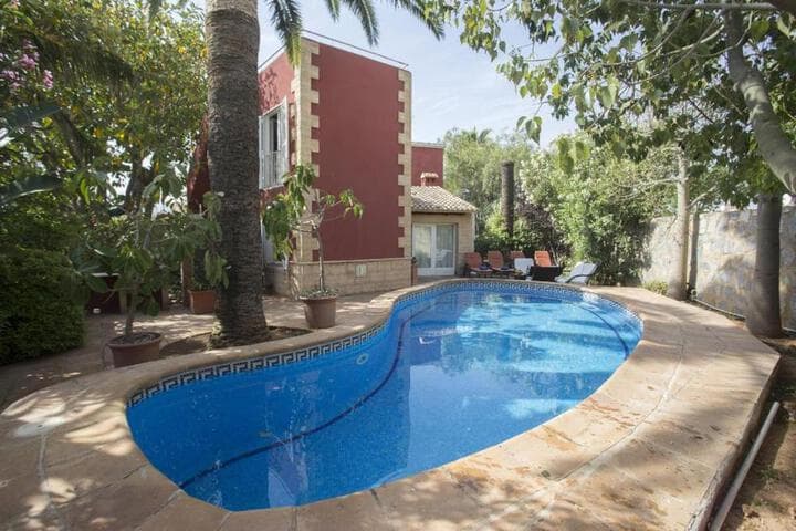 Don Pedro photo 5