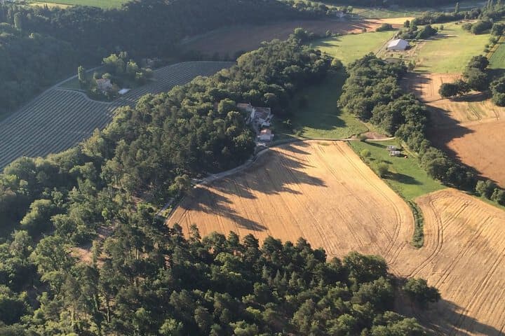 Les Ânes de Forcalquier photo 5