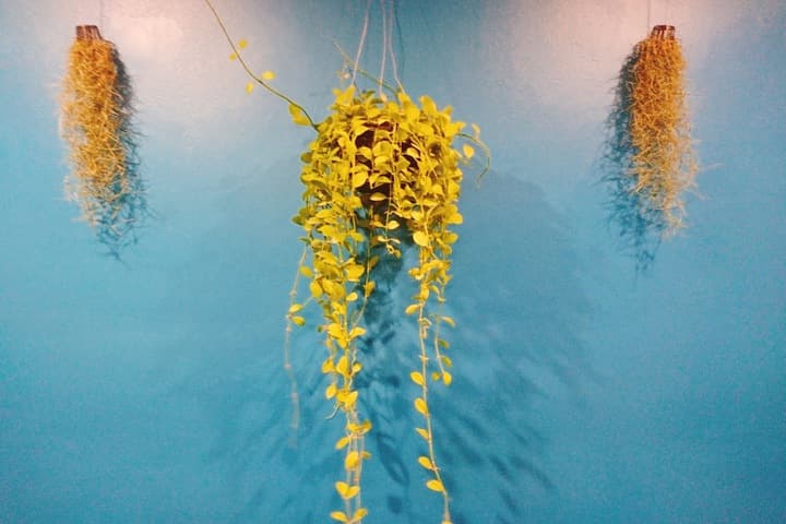 BGW Phuket Hostel photo 2