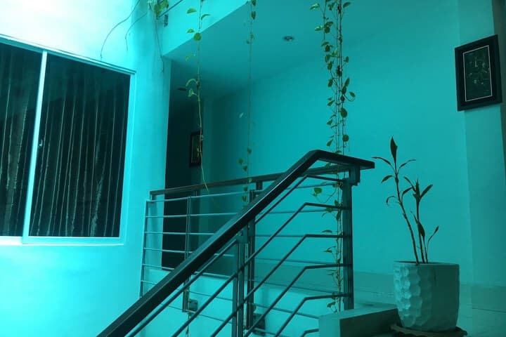 Richly Boutique Hotel & Hostel photo 2