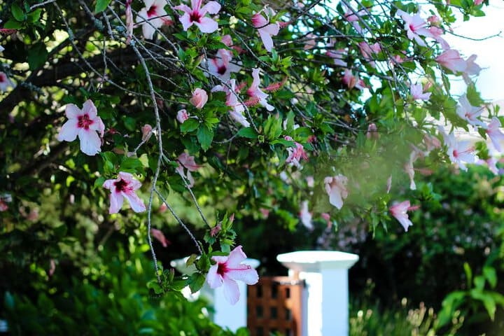 Whispering Oaks photo 1