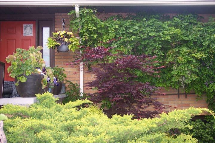 627 on King Bed&Breakfast photo 3