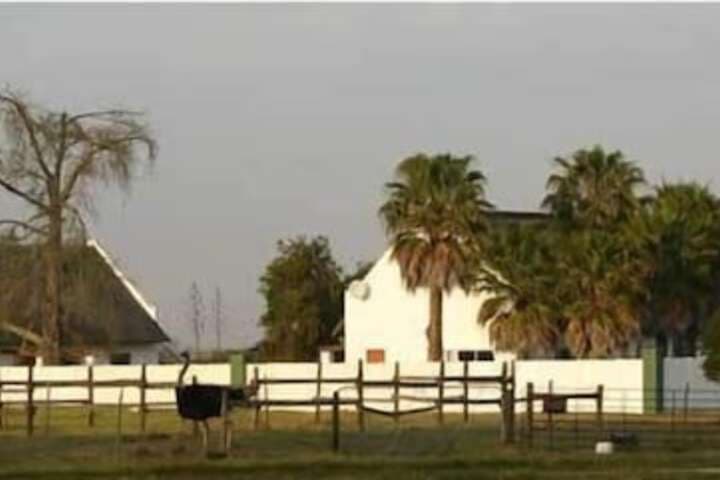 Zoutpan Struishuis photo 4