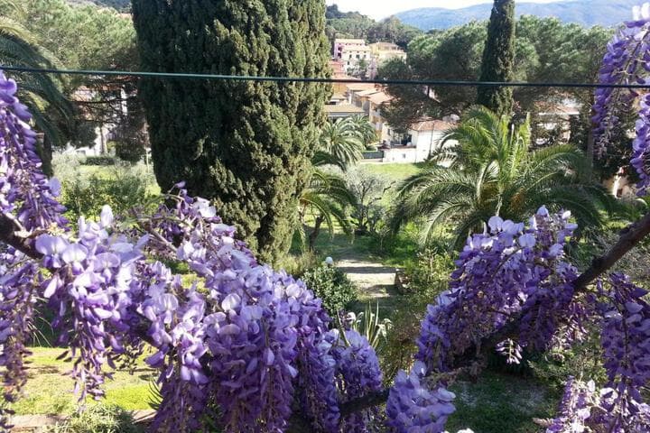 Villa San Giuseppe photo 2