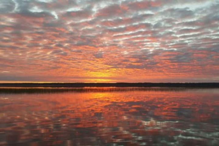 Leech Lake Bed & Breakfast photo 4