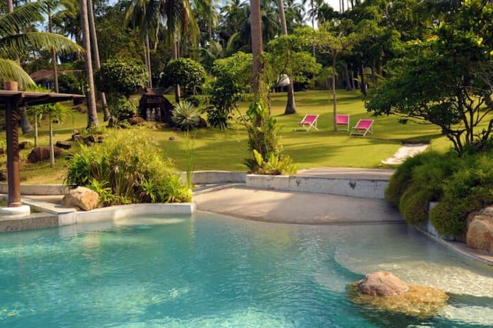 The Jungle Club photo 4
