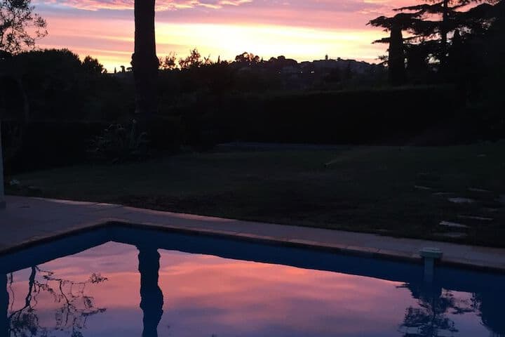La Pelicane photo 3