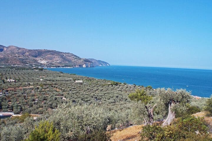 Case Vacanze LUliveto photo 3