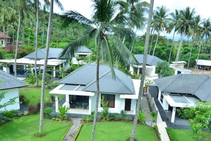 Dream Estate photo 5
