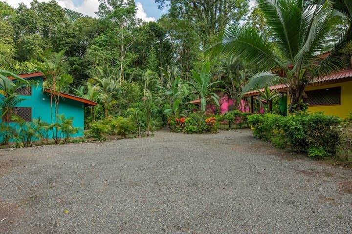 Colores del Caribe photo 5