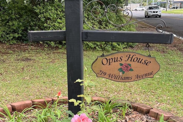 Opus House photo 2