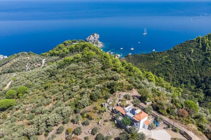 Villa Rose photo 4
